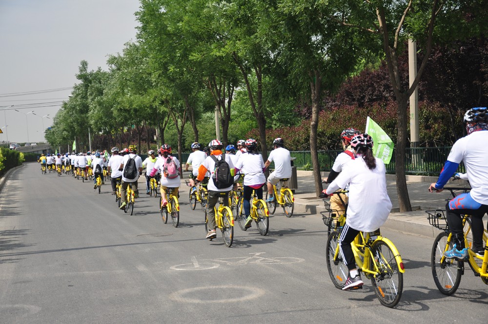 8839@1805_1043297756, 8839@1805_1043297756,